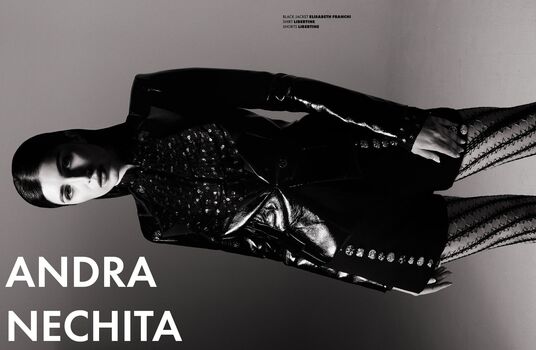 Andra Nechita