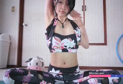 Asian Streamers