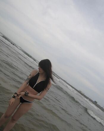 cheman2007