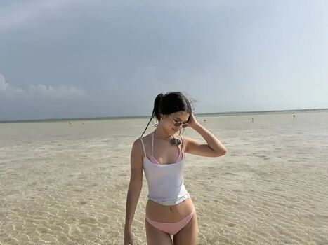 Fanitap