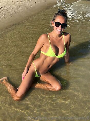 Harlow Honey 
