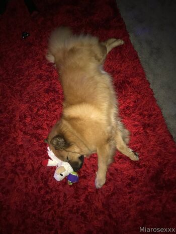 miarosexxx