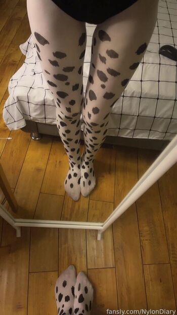 NylonDiary