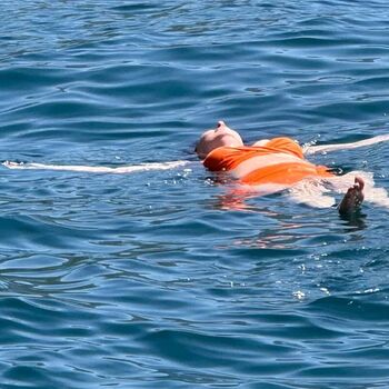 Pam Cannont Be Tammed