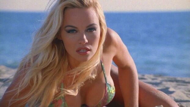 Pamela Anderson