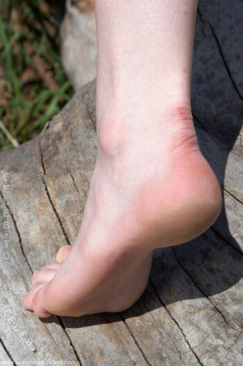 Scandinavian Feet