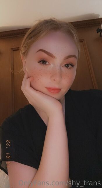 shy_trans