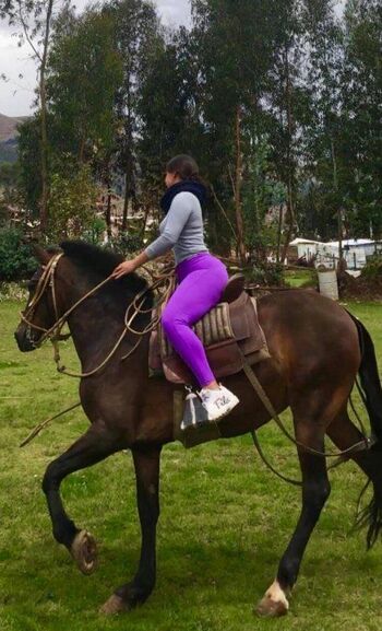 Stephany Rojas Quispe