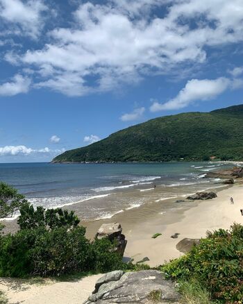 Sweet.africa