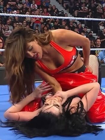 The Bella Twins