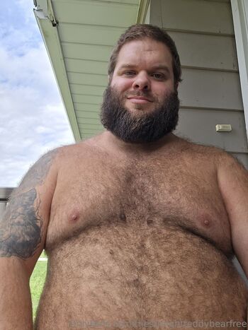 thestraightteddybearfree