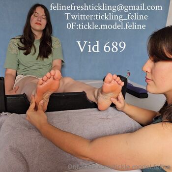 tickle.model.feline