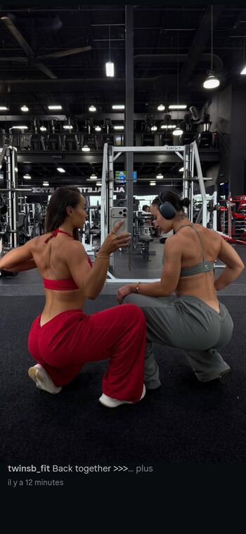 twinsb_fit