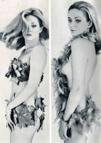 Vintage Starlets