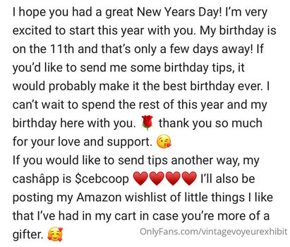 vintagevoyeurexhibit