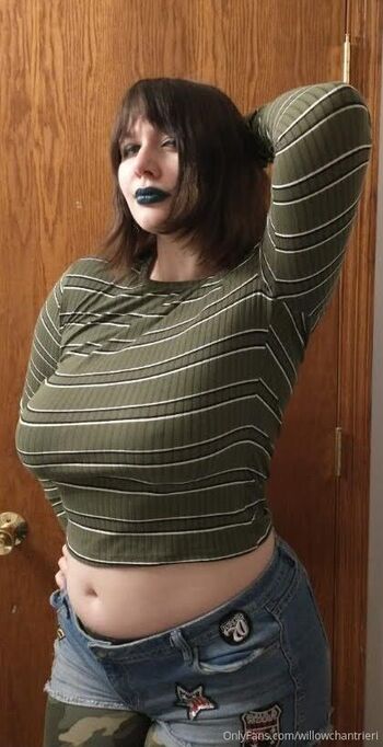 willowchantrieri