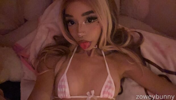 Zoweybunny